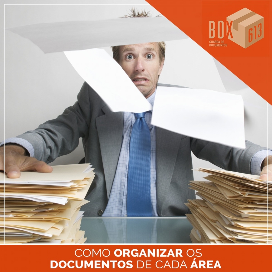 Como Organizar os Documentos de Cada Área