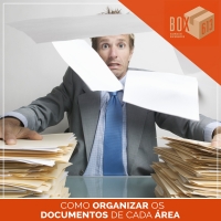 Como Organizar os Documentos de Cada Área